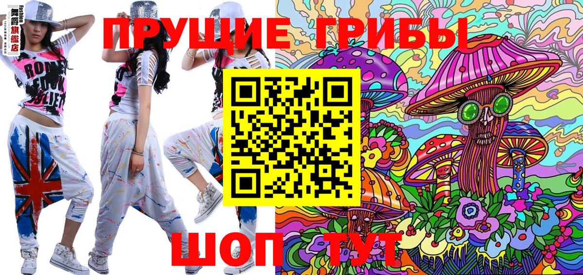 Псилоцибиновые грибы Cubensis Слободской