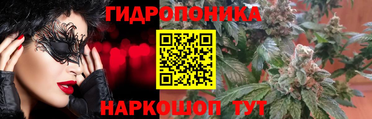 Каннабис планчик  Канабис семена  Слободской  Вход с VPN  Конопля конопля 